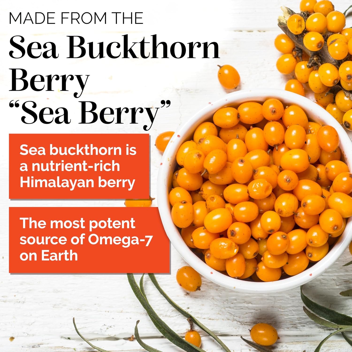 Sea Buckthorn Polishing Facial Cleanser & Face Wash (4Oz) | Gently Cleanses Skin, Reduces Blemishes and Removes Makeup. Lightly Exfoliating.